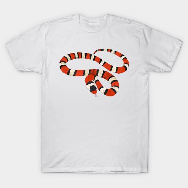 Milksnake T-Shirt by Babban Gaelg